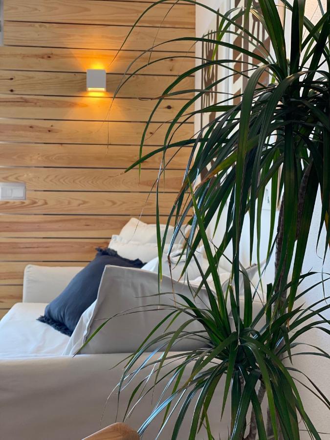 ナザレCasa Azulアパートメント エクステリア 写真